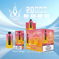 Bang Beach 20000 Puffs Vapes Grosir